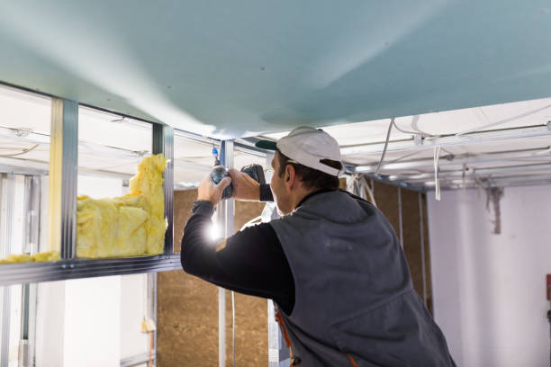 Best Eco-Friendly Insulation in Scenic Oaks, TX