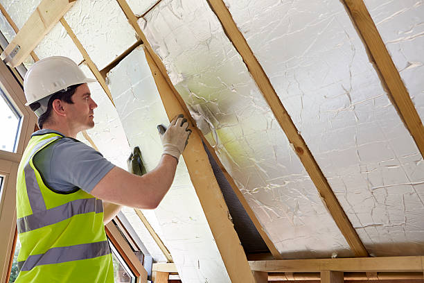 Best Geographic-Specific Insulation Services in Scenic Oaks, TX
