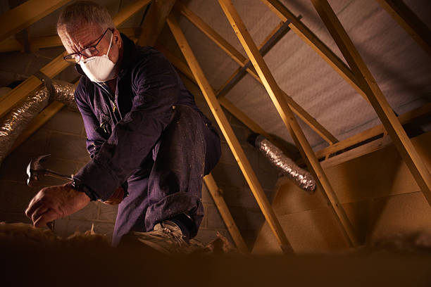 Types of Insulation We Offer in Scenic Oaks, TX
